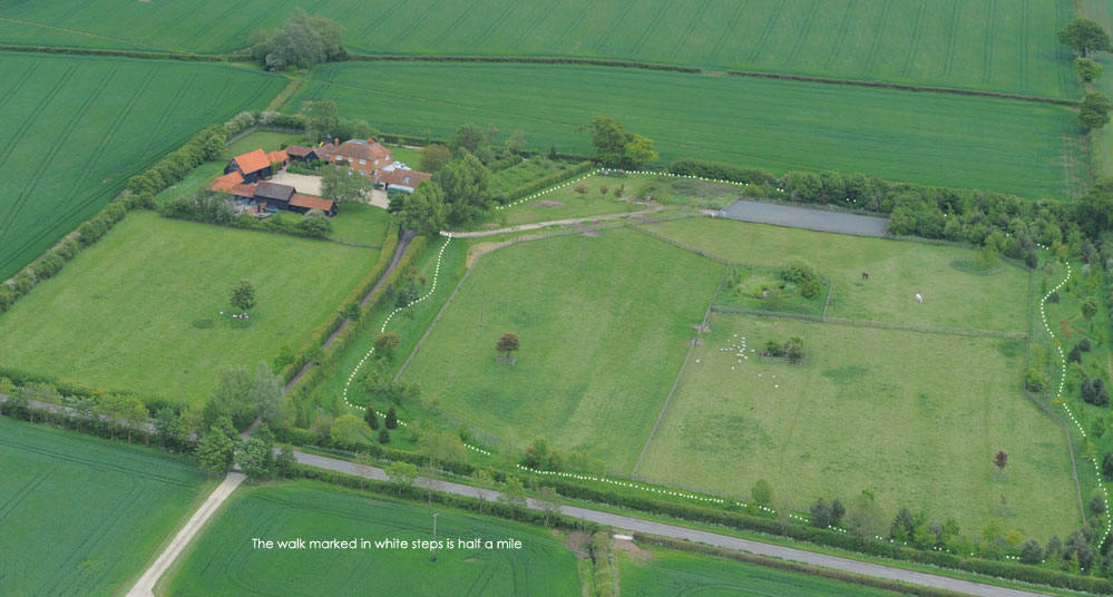 Aerial photograph showing part of Rosehill Farm